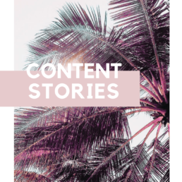 Content Stories Coaching Programm